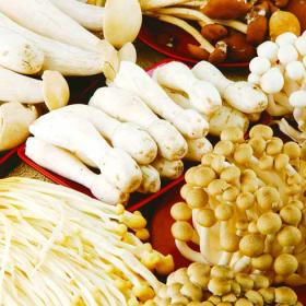 优菌派食用菌微工厂 创新科技赋能家庭农业，尽享新鲜美味