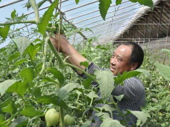 沙井农产品配送公司 以质量与服务双轮驱动，护航深圳餐饮美食产业链