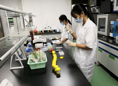 蓬江区多措并举 筑牢食用农产品质量安全防线