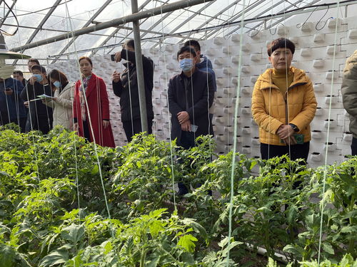 全省农产品质量安全追溯体系与食用农产品合格证制度培训班在大荔县正式开班